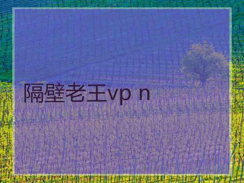 隔壁老王vp n