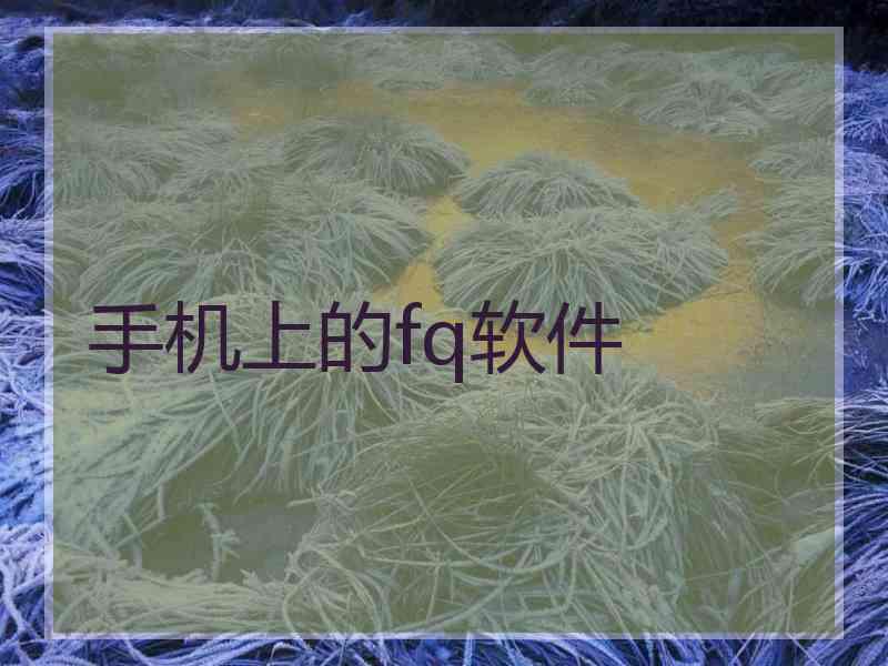 手机上的fq软件