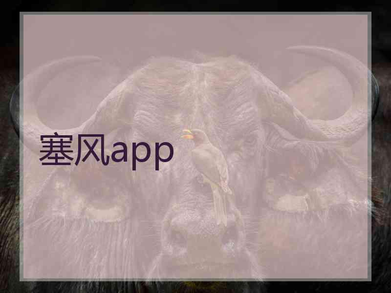 塞风app