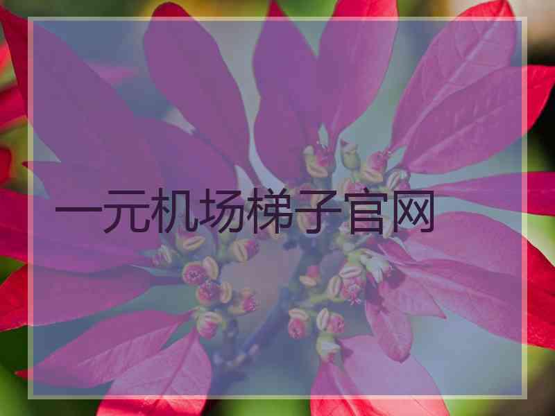 一元机场梯子官网