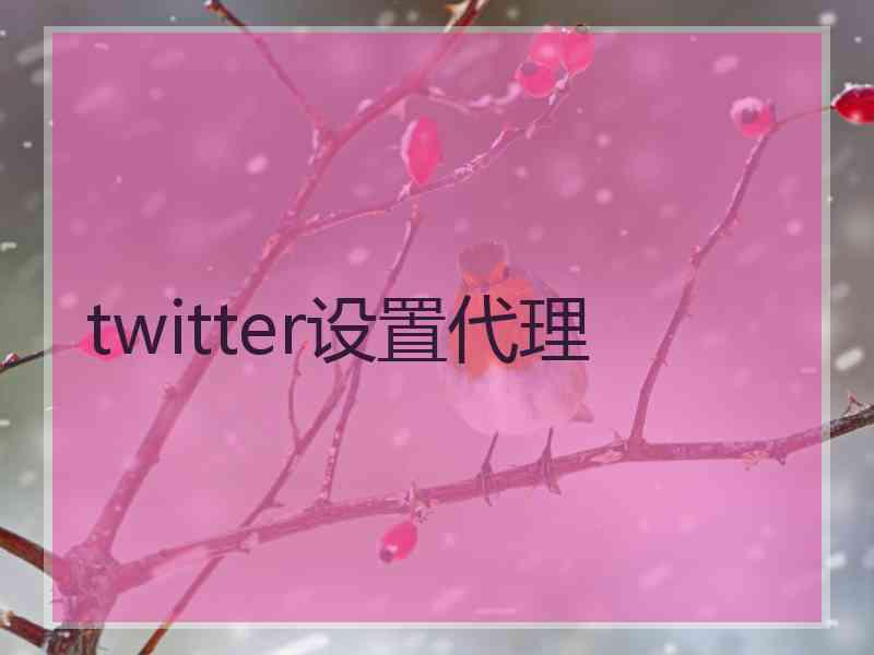 twitter设置代理