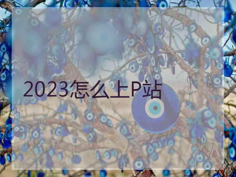 2023怎么上P站