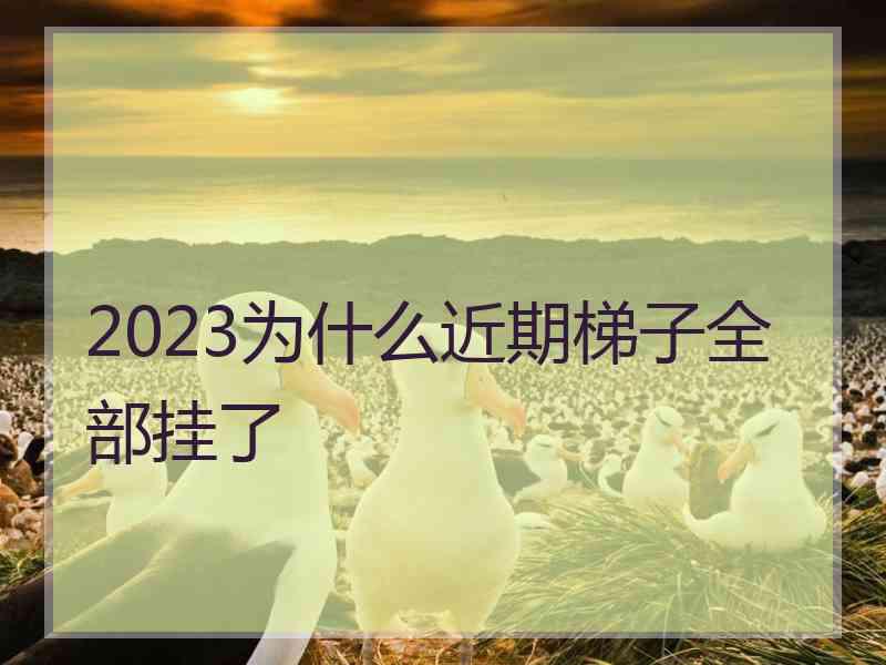 2023为什么近期梯子全部挂了