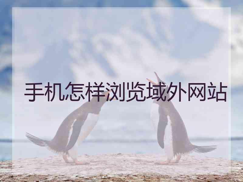 手机怎样浏览域外网站