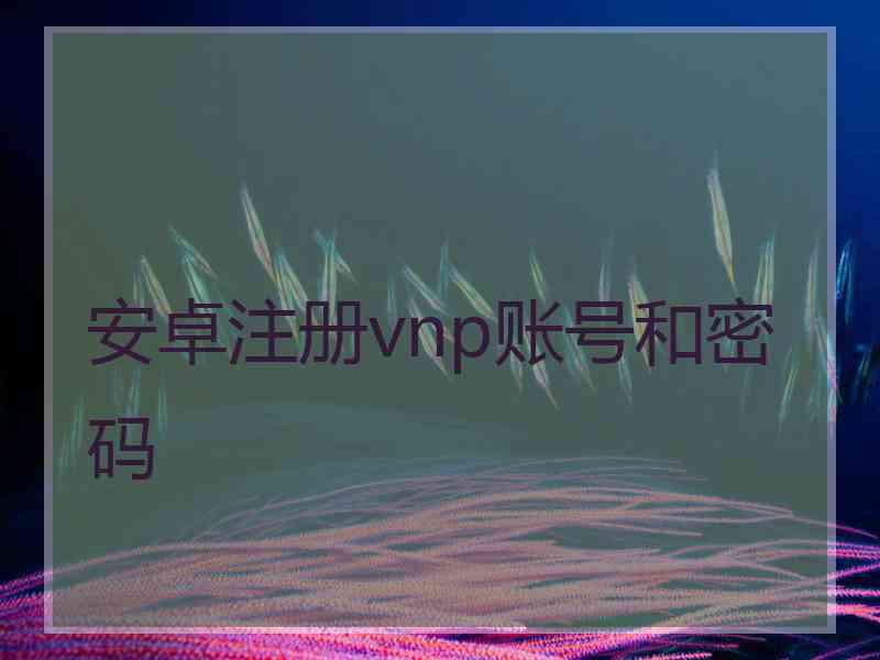 安卓注册vnp账号和密码