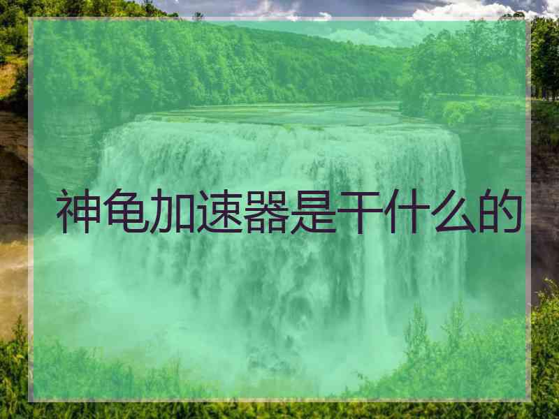 神龟加速器是干什么的