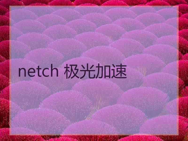 netch 极光加速