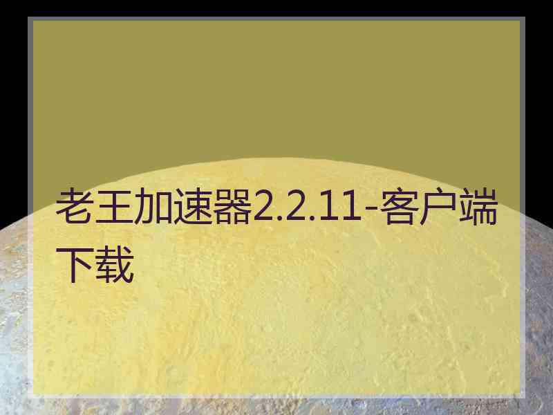 老王加速器2.2.11-客户端下载