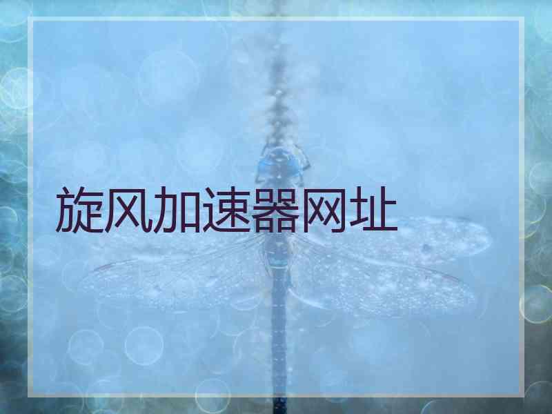 旋风加速器网址