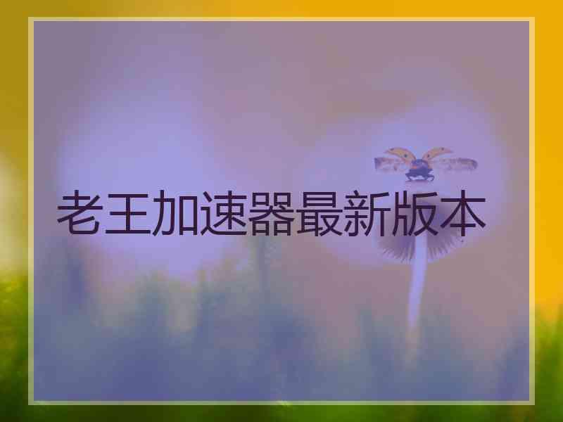 老王加速器最新版本