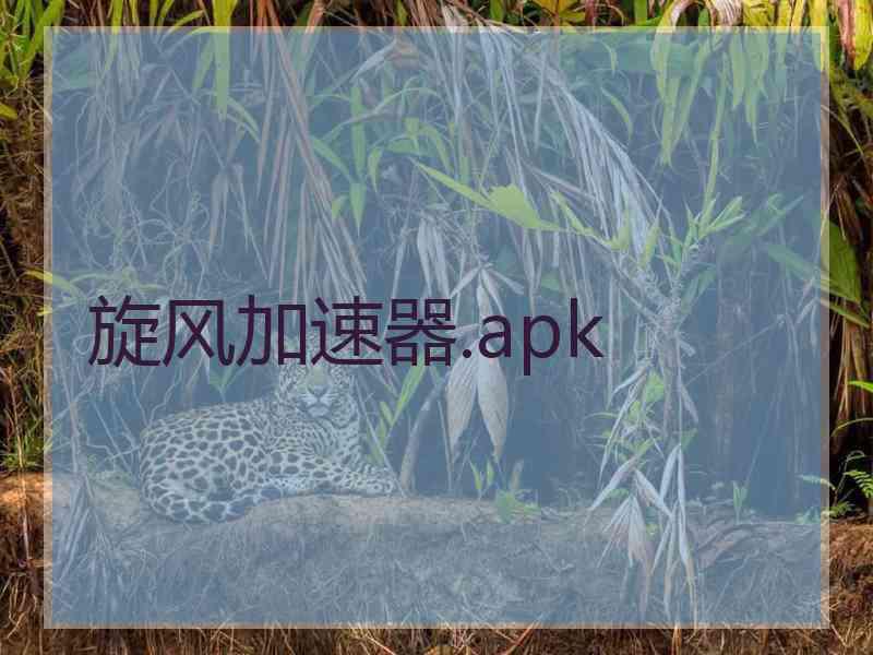 旋风加速器.apk