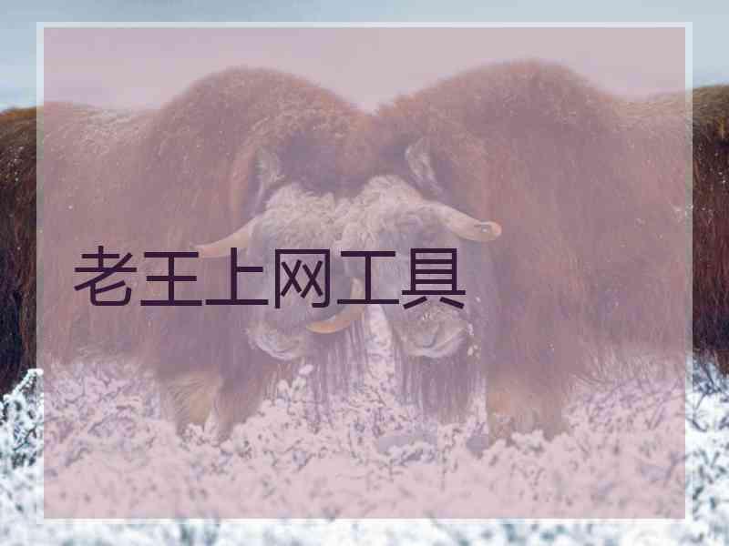 老王上网工具