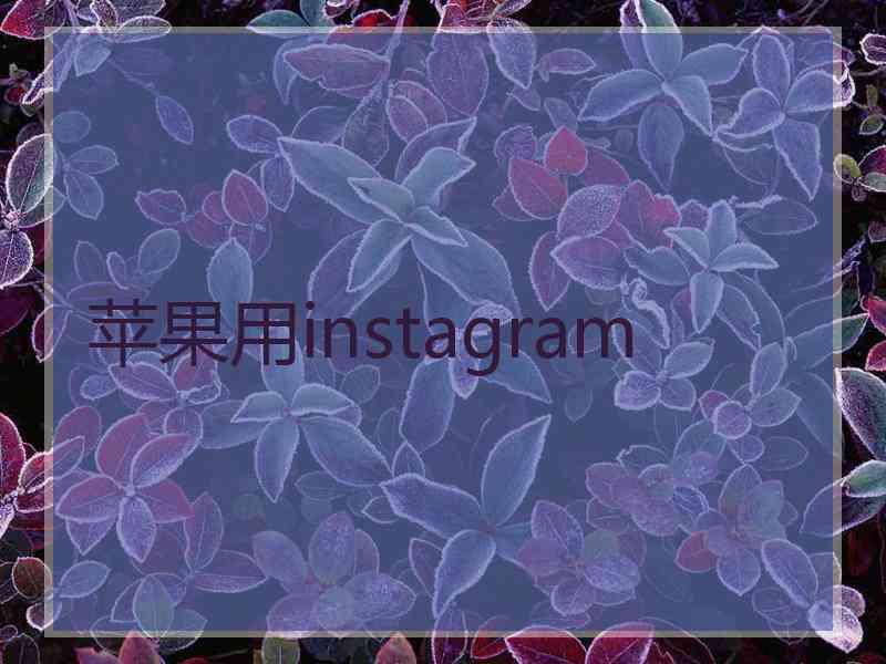 苹果用instagram