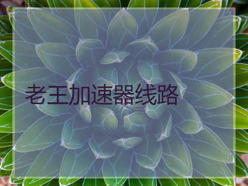 老王加速器线路