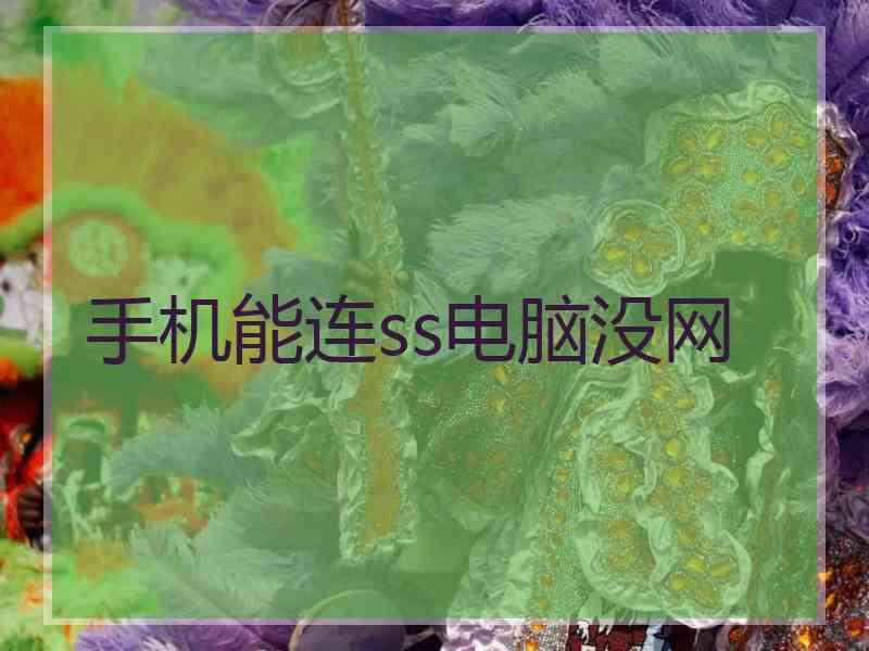 手机能连ss电脑没网