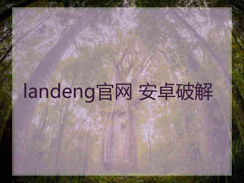 landeng官网 安卓破解