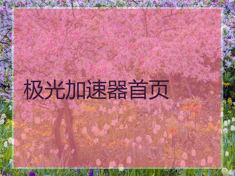 极光加速器首页