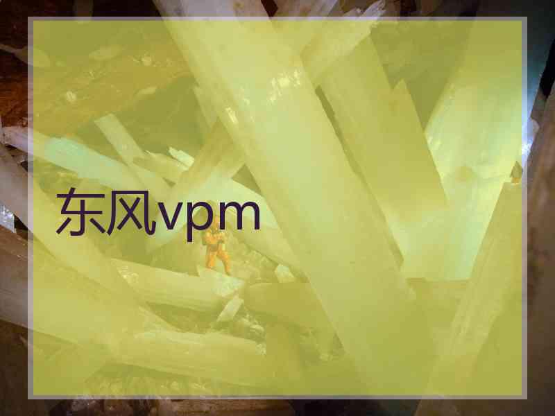 东风vpm