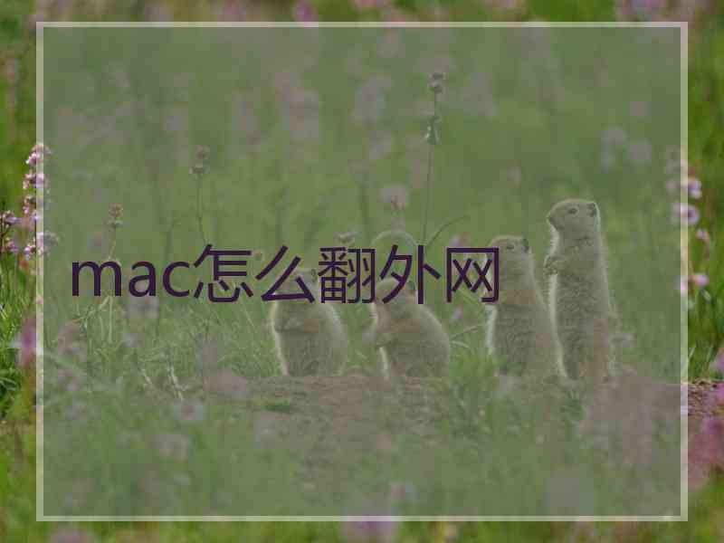 mac怎么翻外网
