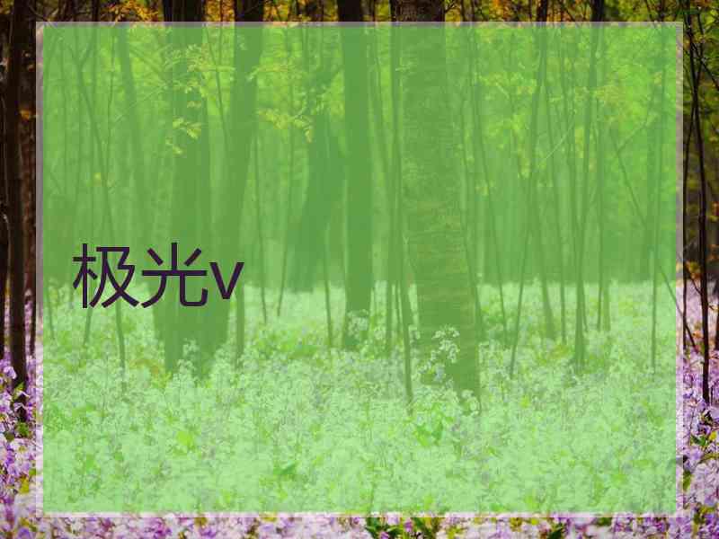 极光v