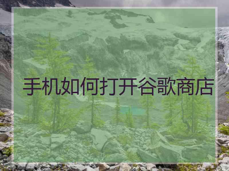 手机如何打开谷歌商店