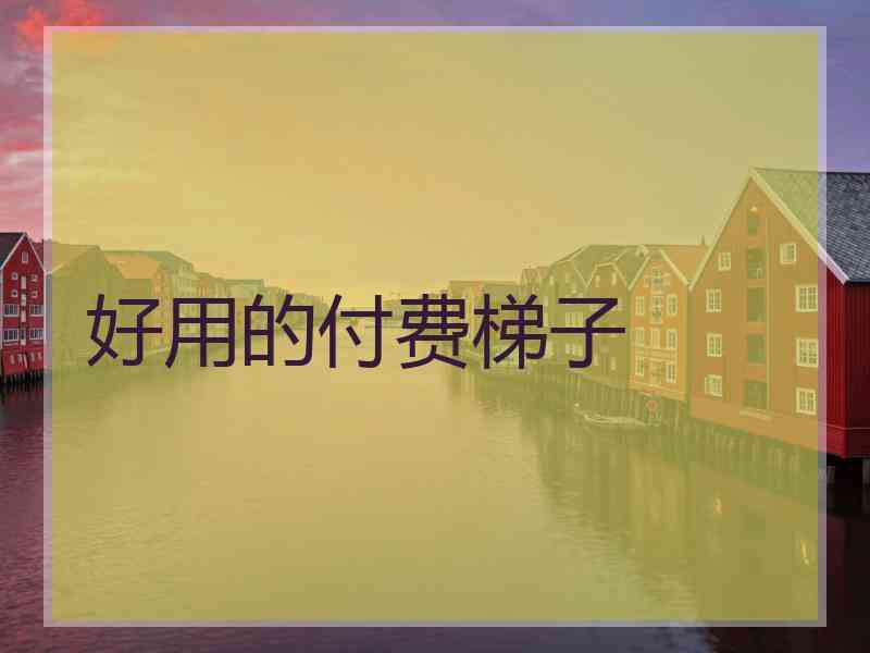 好用的付费梯子