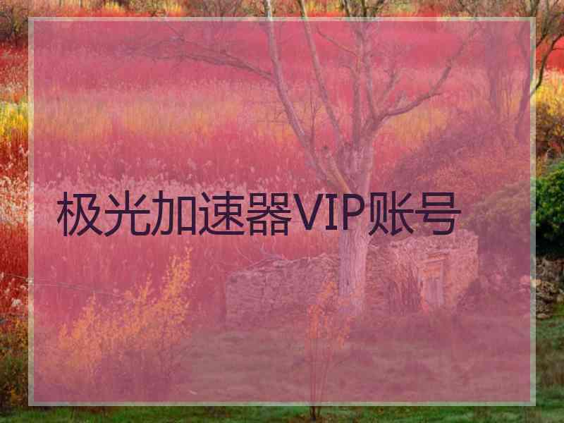 极光加速器VIP账号