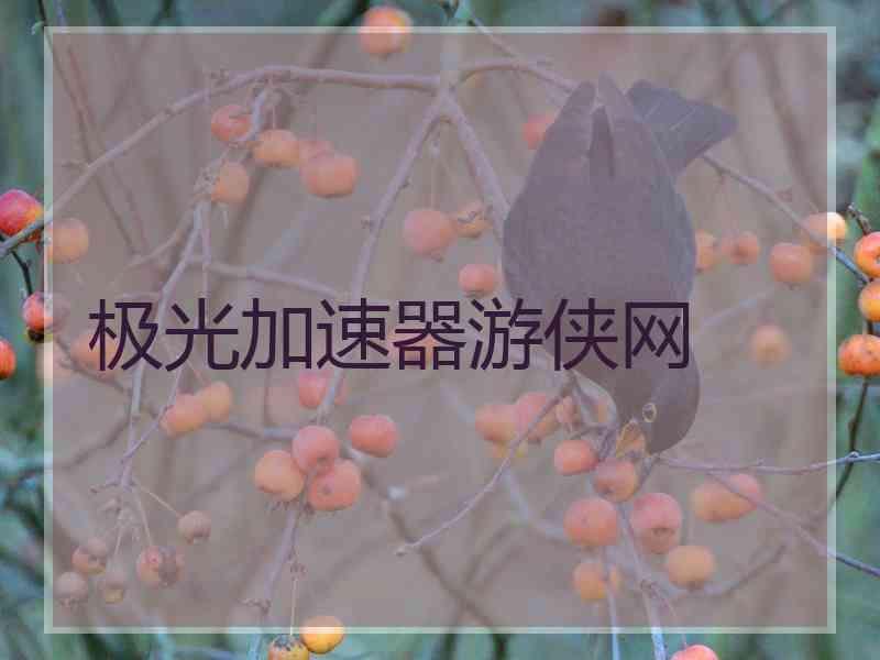 极光加速器游侠网