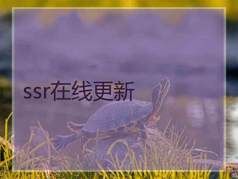 ssr在线更新