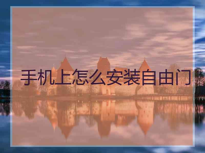 手机上怎么安装自由门