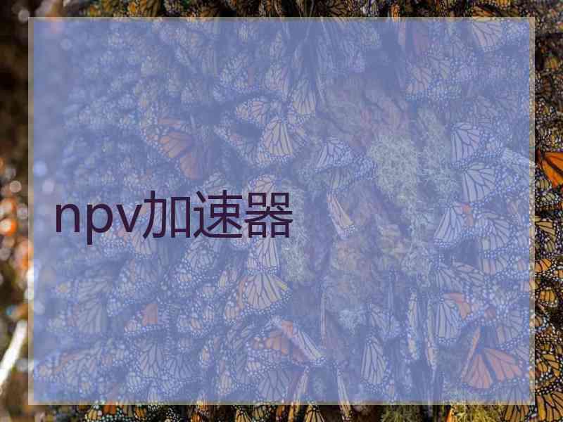 npv加速器