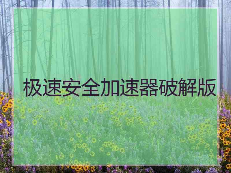 极速安全加速器破解版