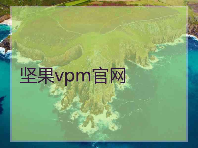 坚果vpm官网