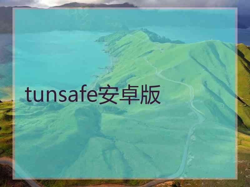 tunsafe安卓版
