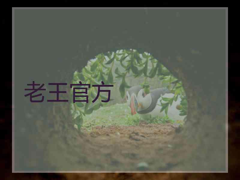 老王官方