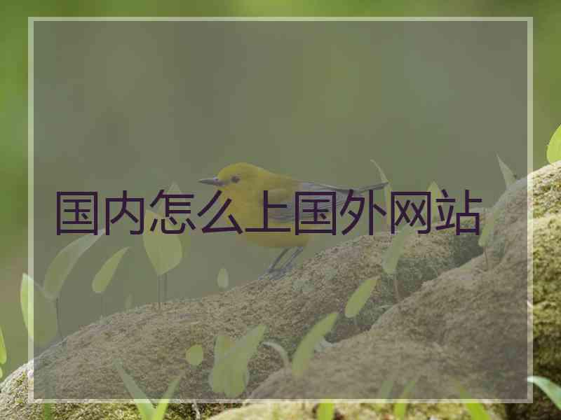 国内怎么上国外网站