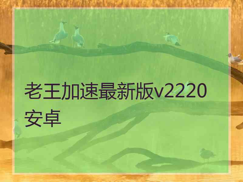 老王加速最新版v2220安卓