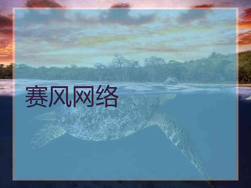 赛风网络