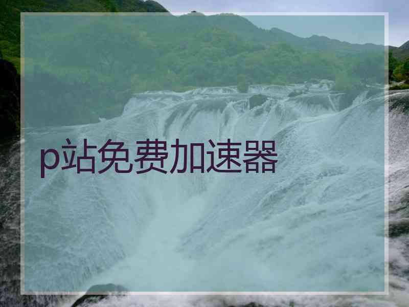 p站免费加速器
