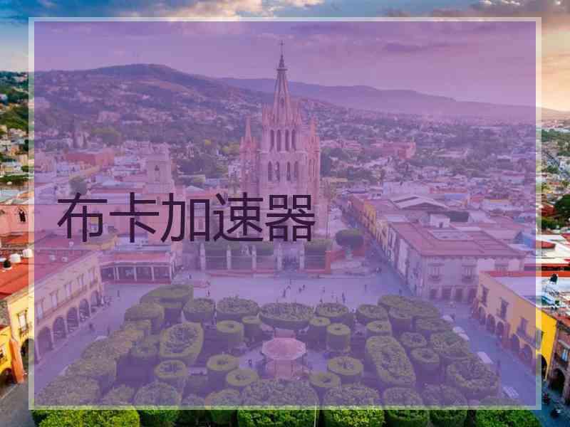 布卡加速器