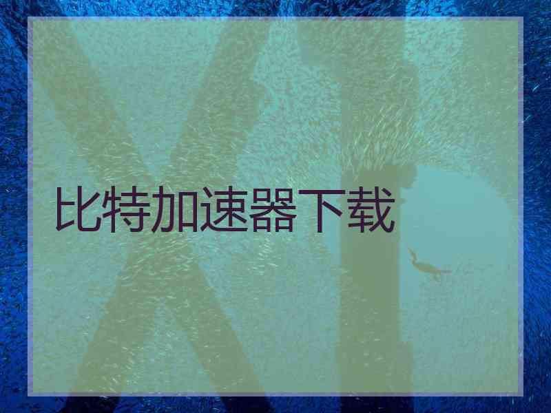 比特加速器下载