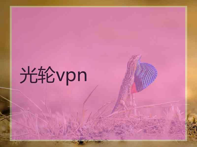 光轮vpn