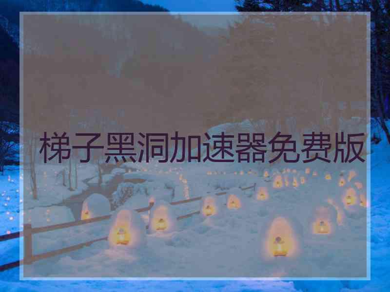 梯子黑洞加速器免费版