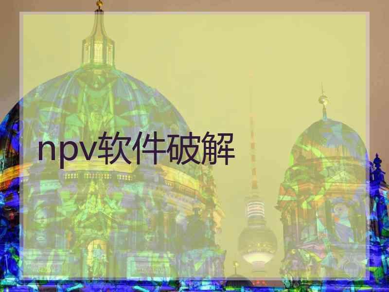 npv软件破解