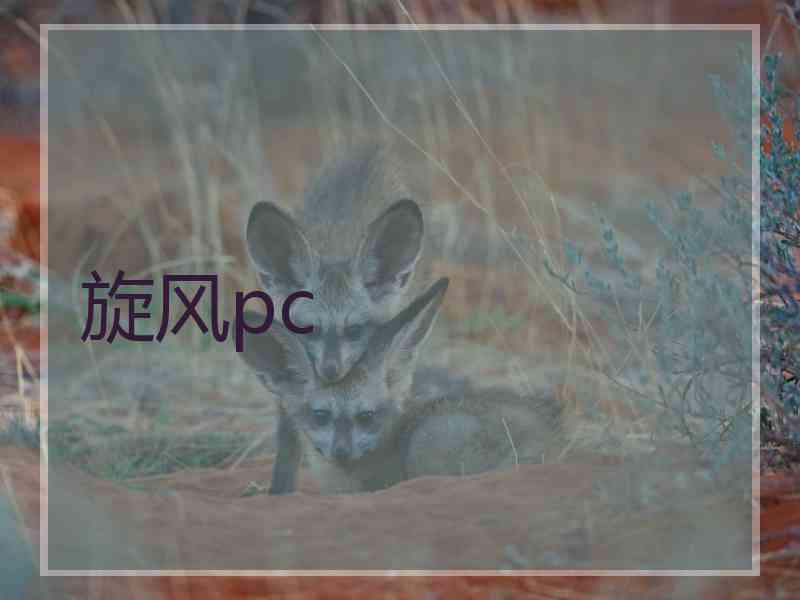 旋风pc
