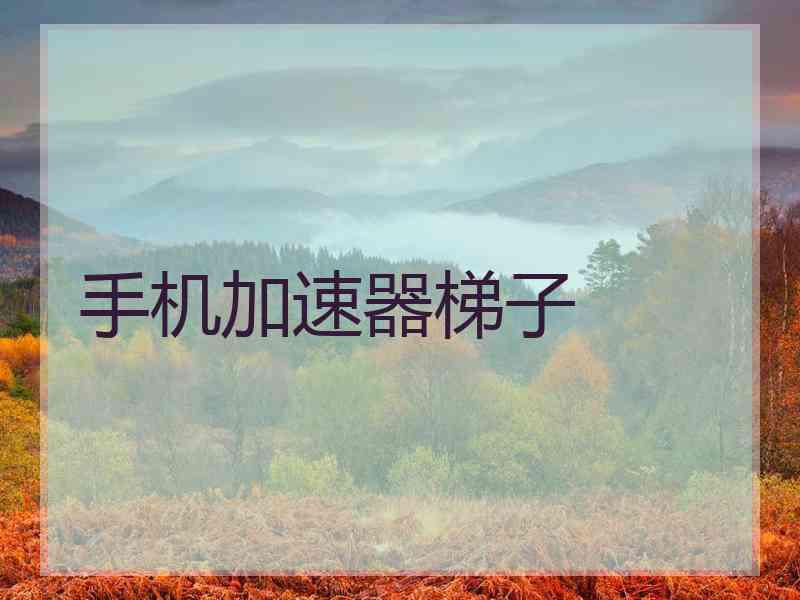 手机加速器梯子