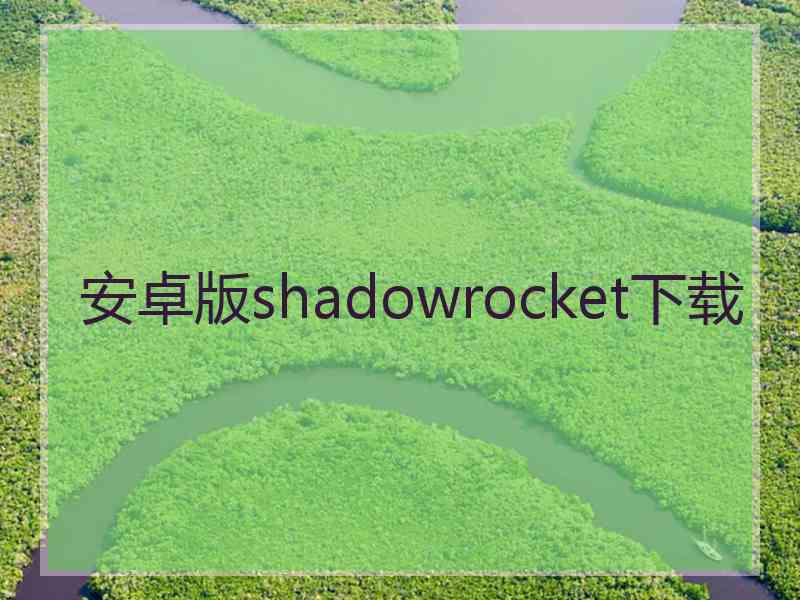 安卓版shadowrocket下载