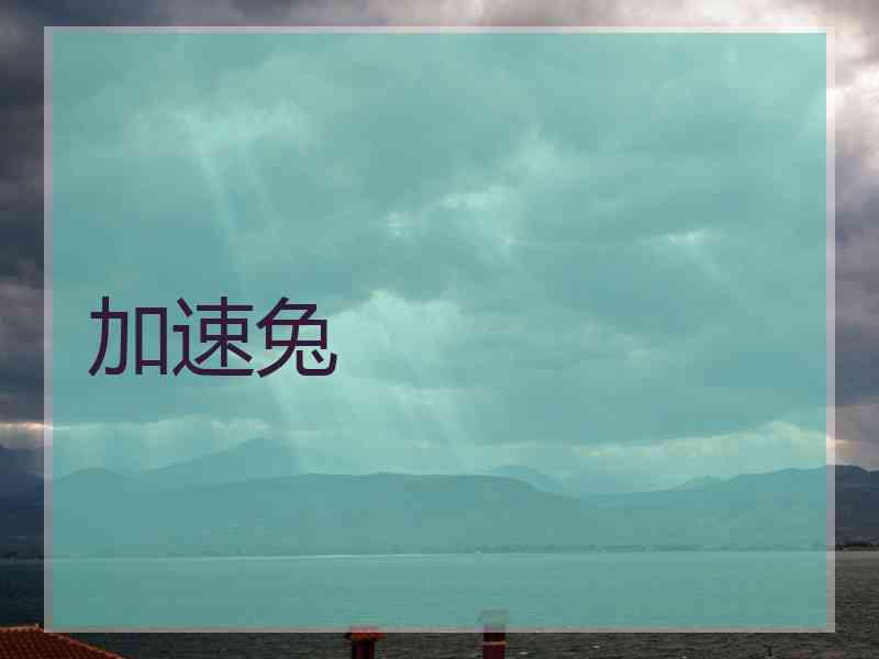 加速兔