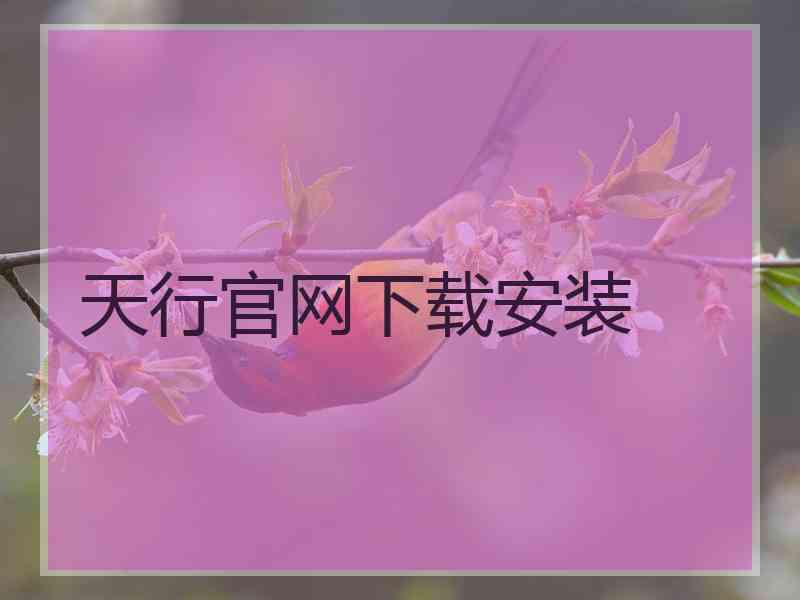 天行官网下载安装