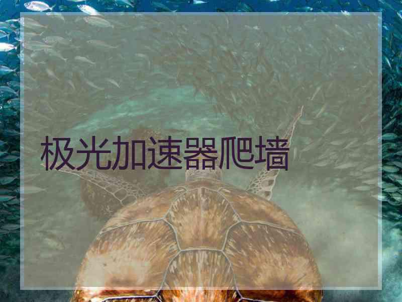 极光加速器爬墙